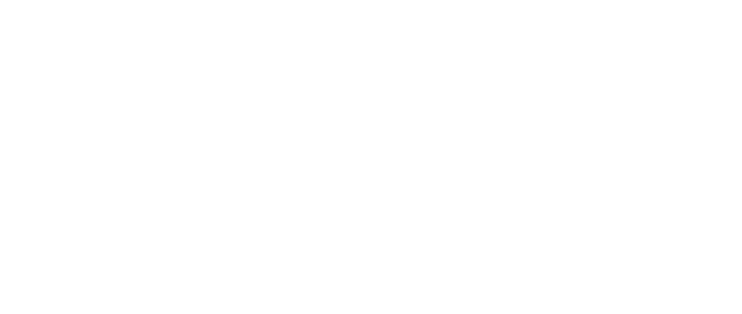 Logo-cecyber